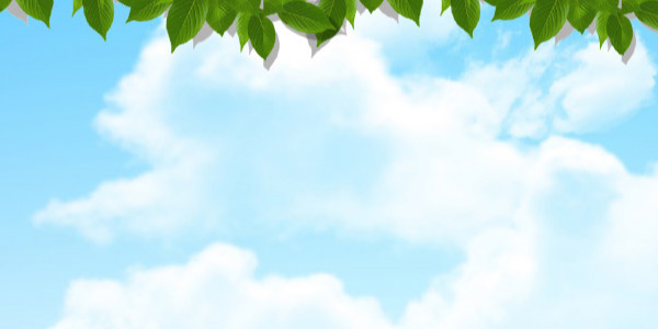 hahahah thi sis guide