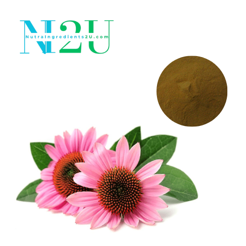 Echinacea extract