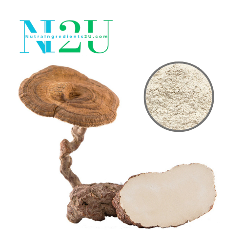 Tiger Milk Mushroom Powder