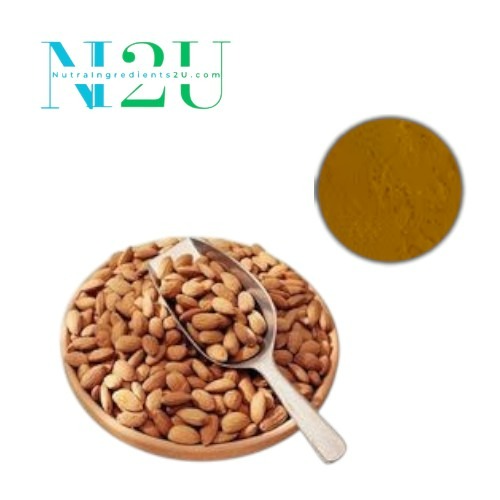 Bitter Apricot Extract