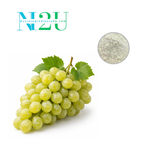 White Grapefruit Juice Powder-DSA