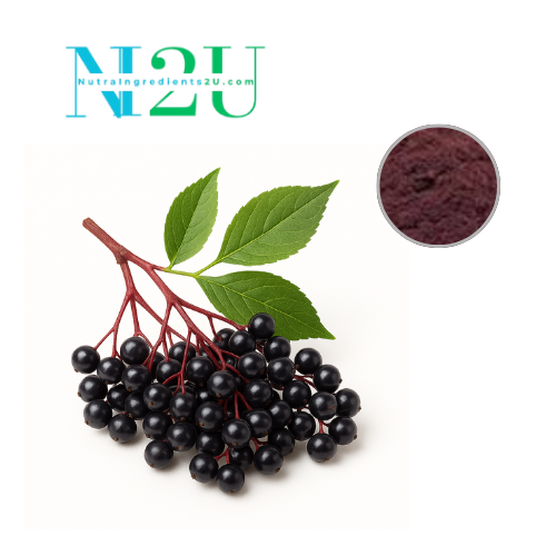Elderberry Extract
