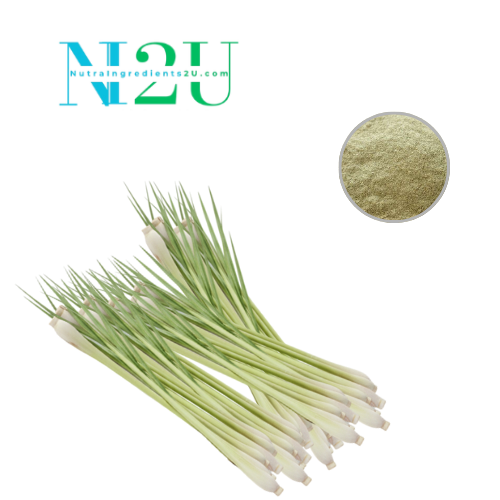Lemongrass Extract Powder