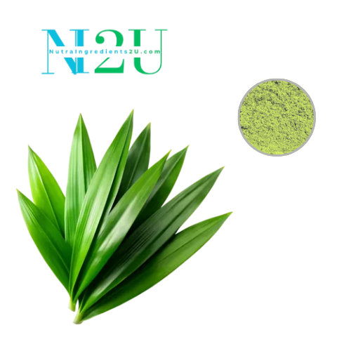 Natural Pandan Leaf Extract Powder
